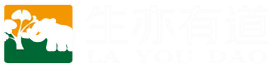 河南有道展览