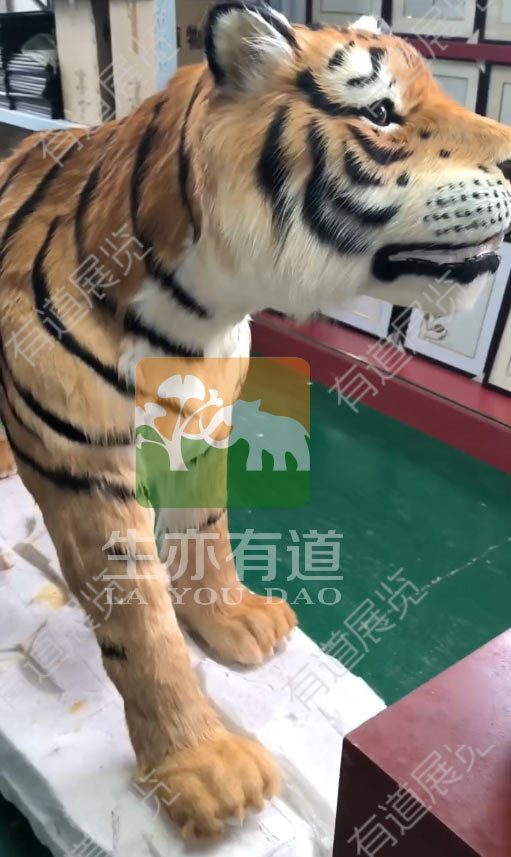 仿真动物标本