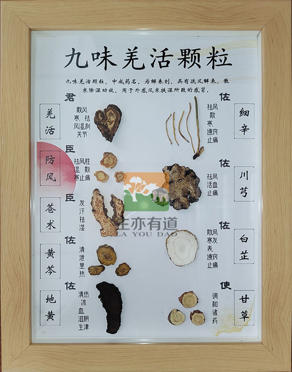 方剂标本