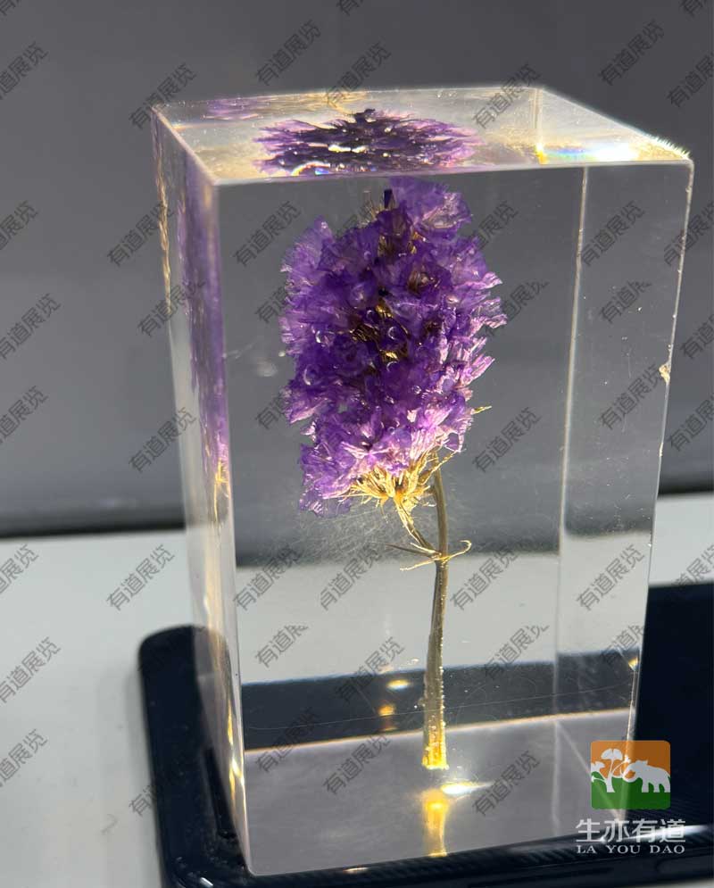 花朵包埋标本