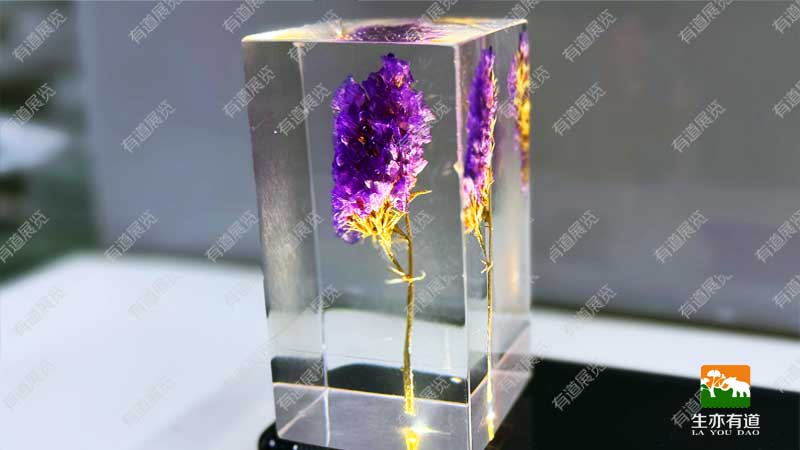 花朵包埋标本