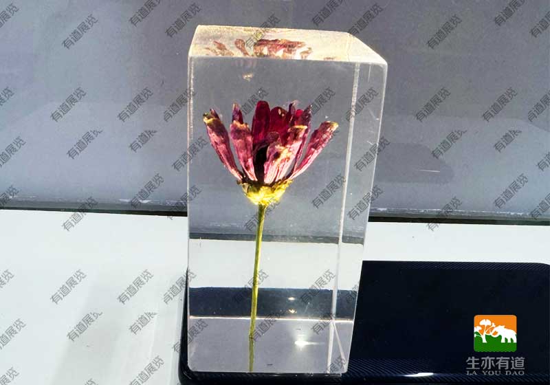 长方体包埋标本