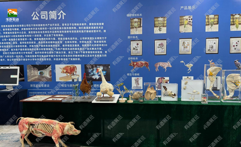 河南有道展览科技有限公司展位