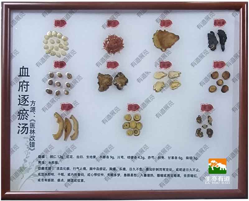 血府逐瘀汤半包埋标本