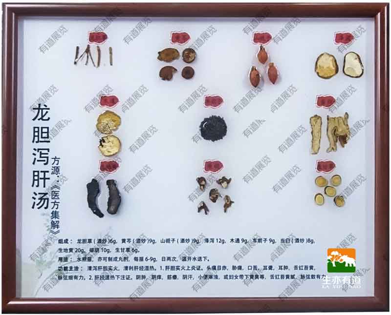 龙胆泻肝汤包埋标本