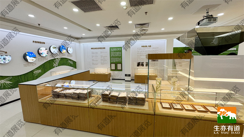 标本展厅